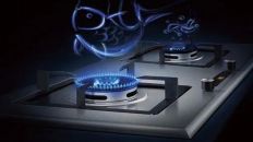 ब्रांड विकास बाजार की मांगों से सुसंगत है।